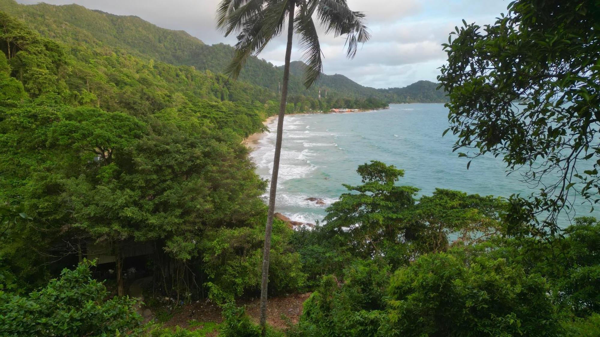 Beach Jungle Koh Chang Luaran gambar