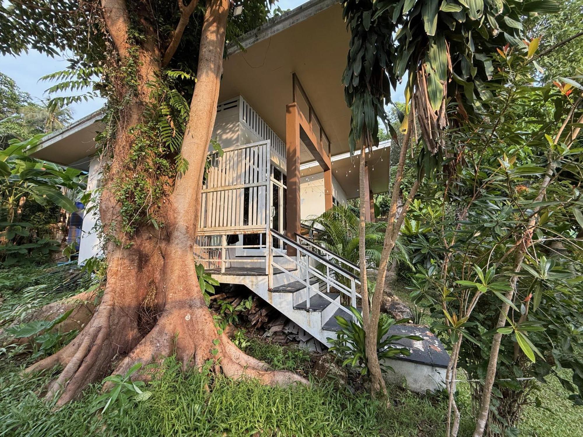 Beach Jungle Koh Chang Luaran gambar