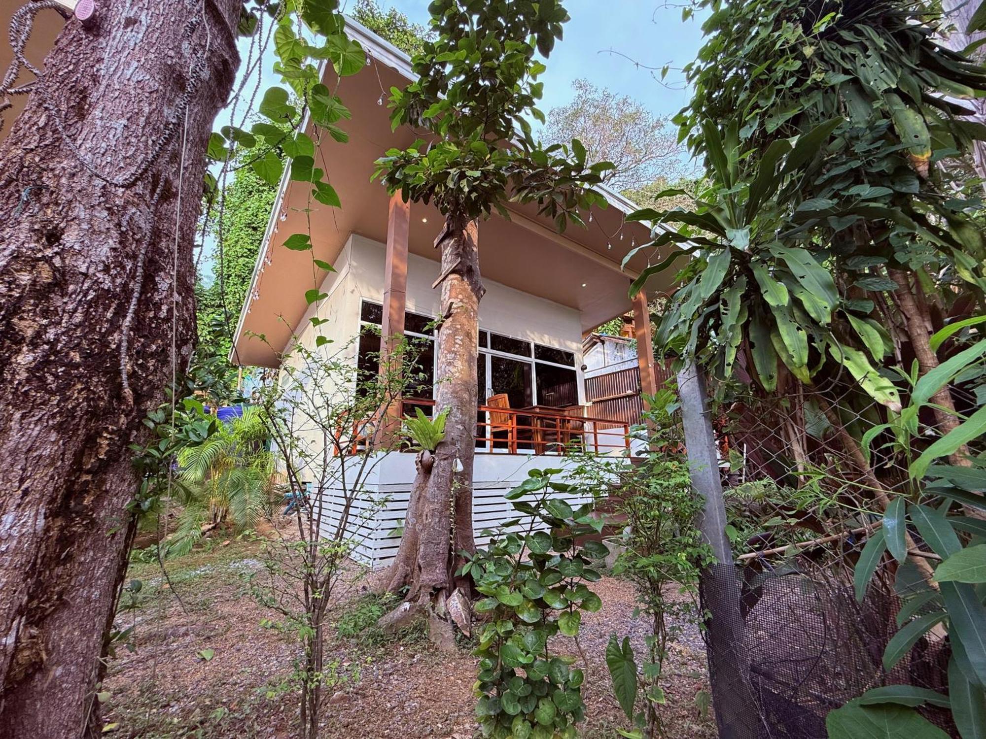 Beach Jungle Koh Chang Luaran gambar